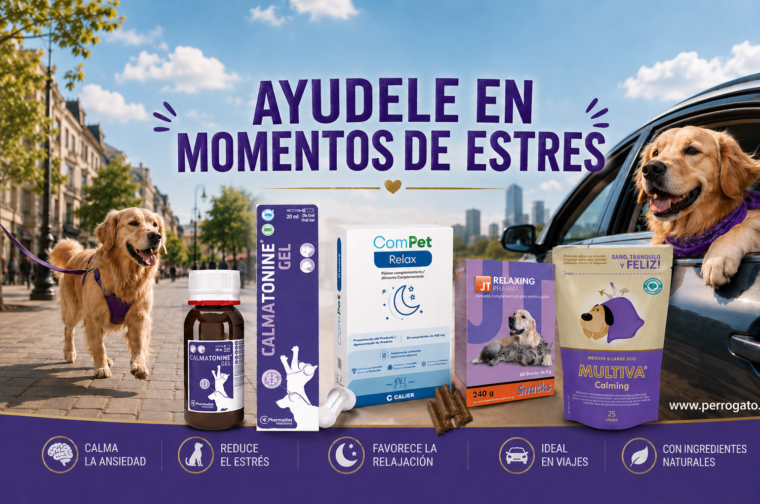 ANTIESTRES PARA VIAJES Y CAMBIOS